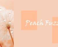 pantone peach fuzz